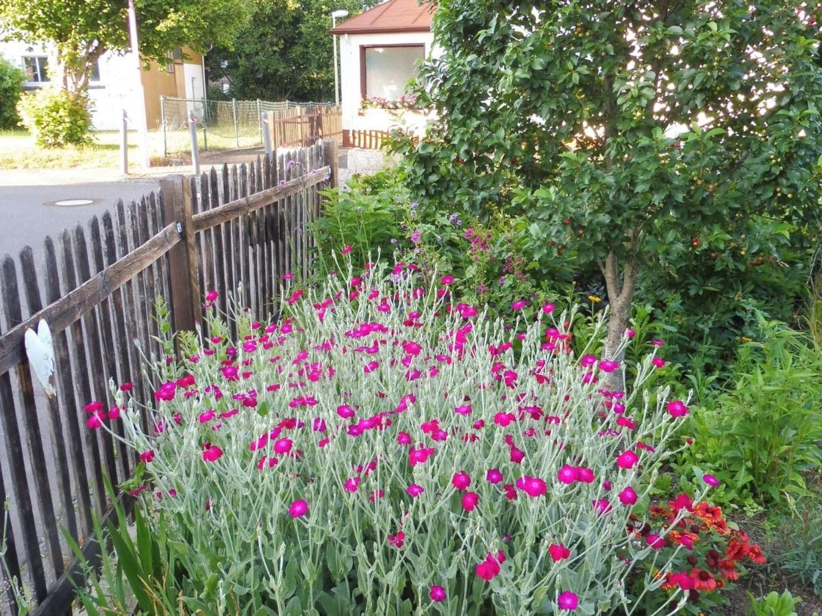 Apartment With Terrace In The Garden Pracht Εξωτερικό φωτογραφία